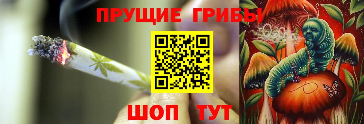 Сертолово  Галлюциногенные грибы Cubensis  Галлюциногенные грибы прущие грибы  Вход с VPN 