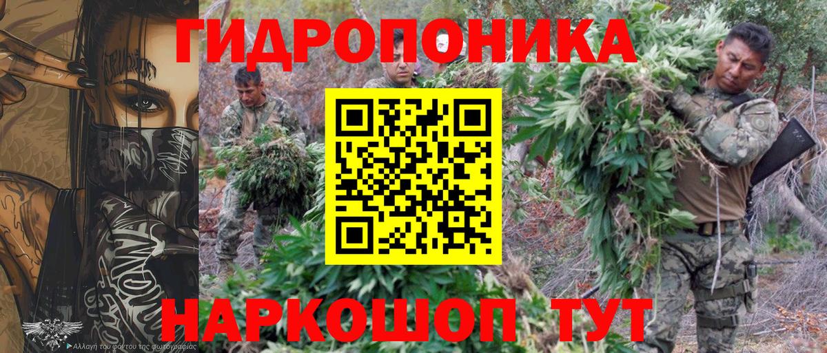 Сертолово  МАРИХУАНА планчик  Вход с VPN  Бошки Шишки конопля  Марихуана Bruce Banner 